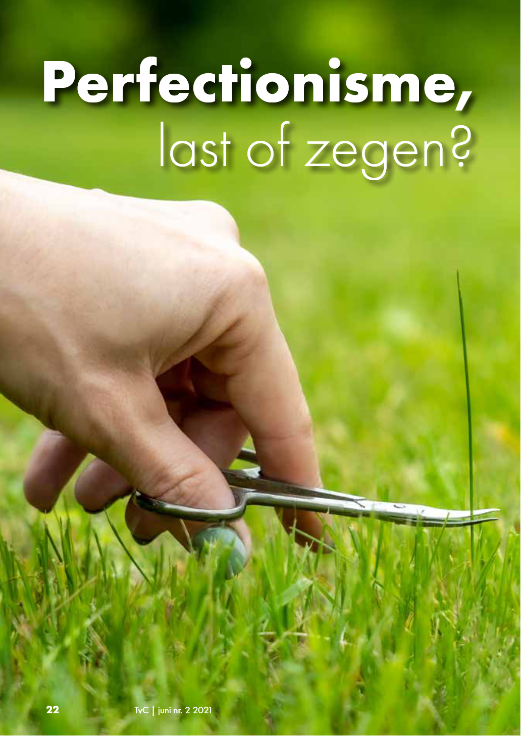 artikel5.png